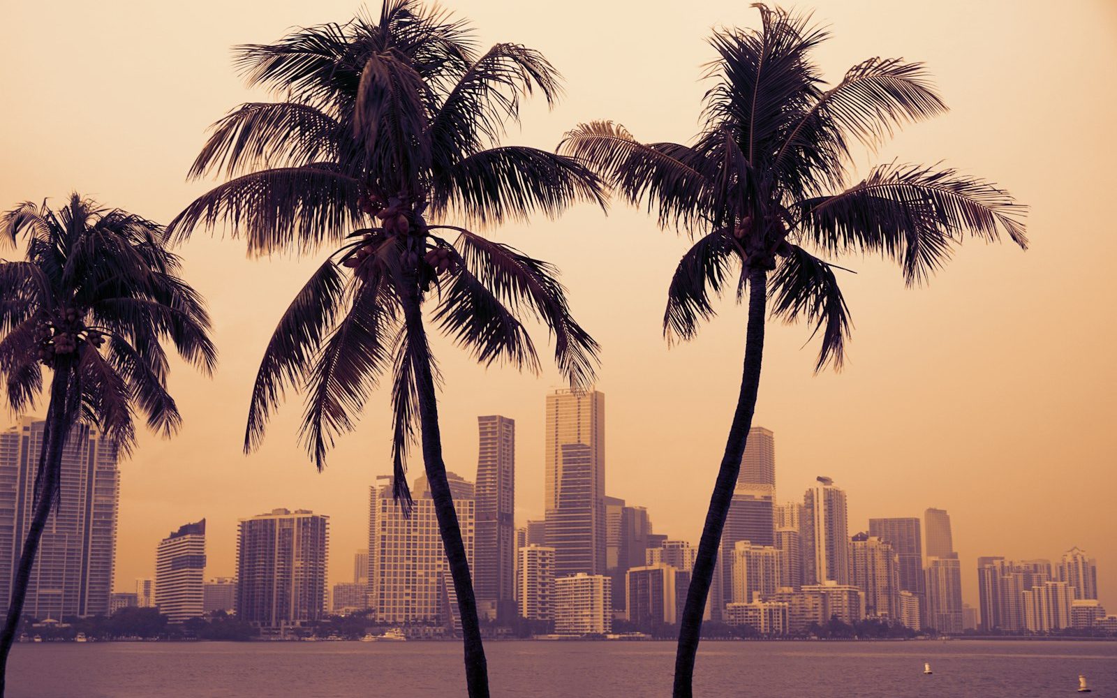 The Best Time to Visit Miami